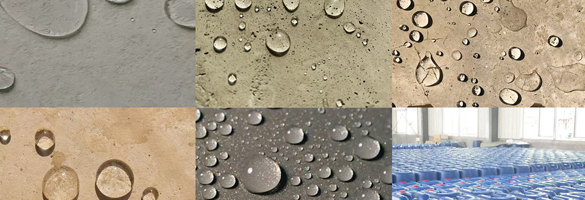1729735180725884.jpg
